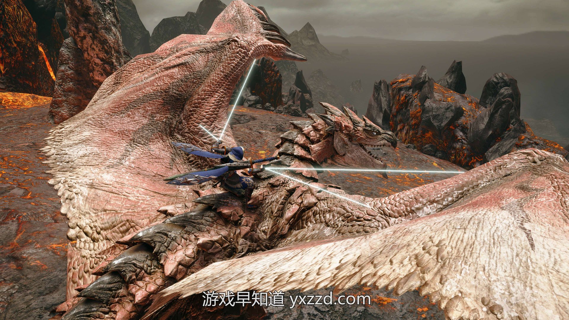 空洞骑士 年度版 截图14