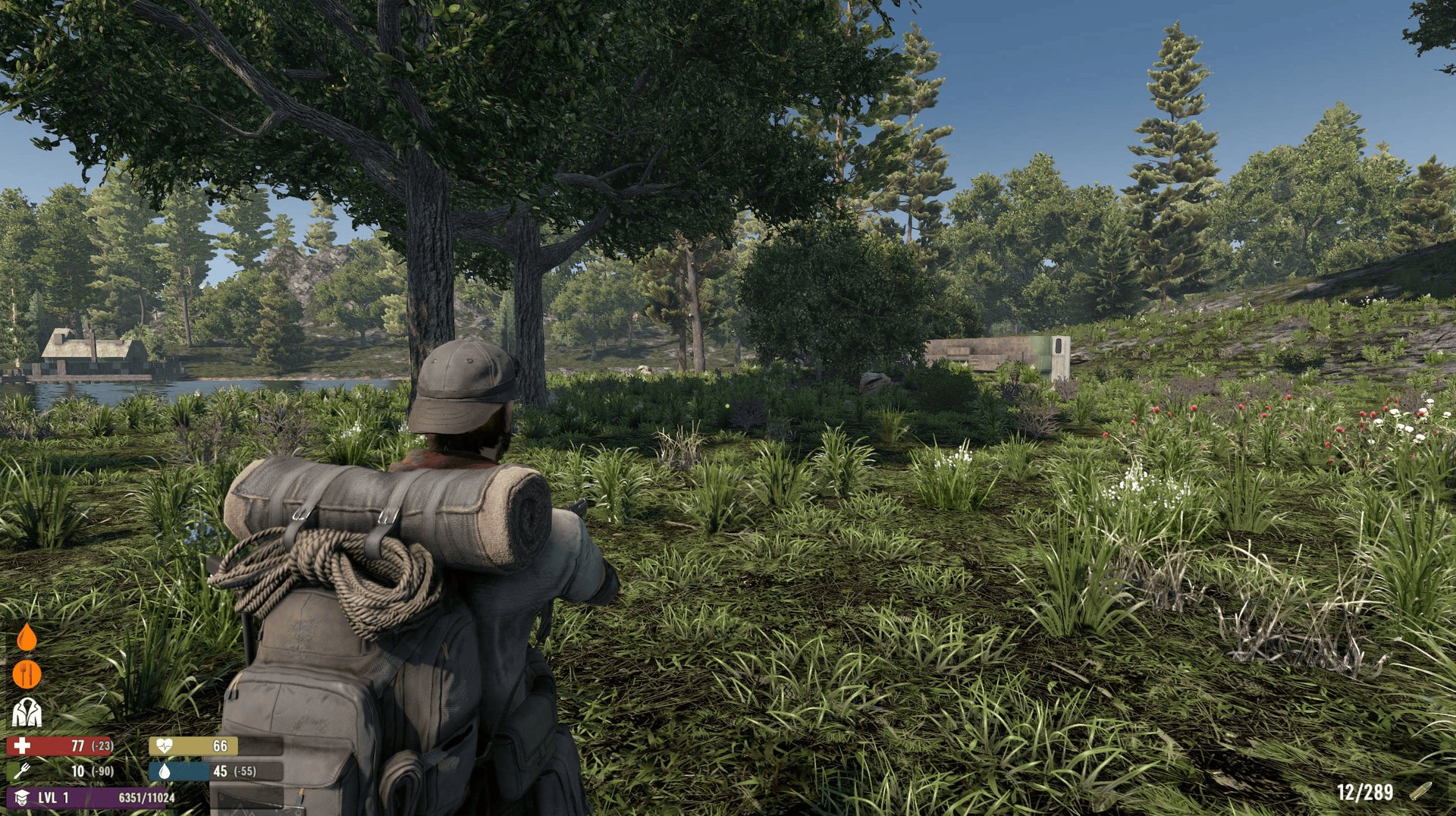 饥荒 豪华版 截图4